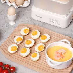 大宇（DAEWOO）早餐机小蒸锅 DYZD-150  2000006877